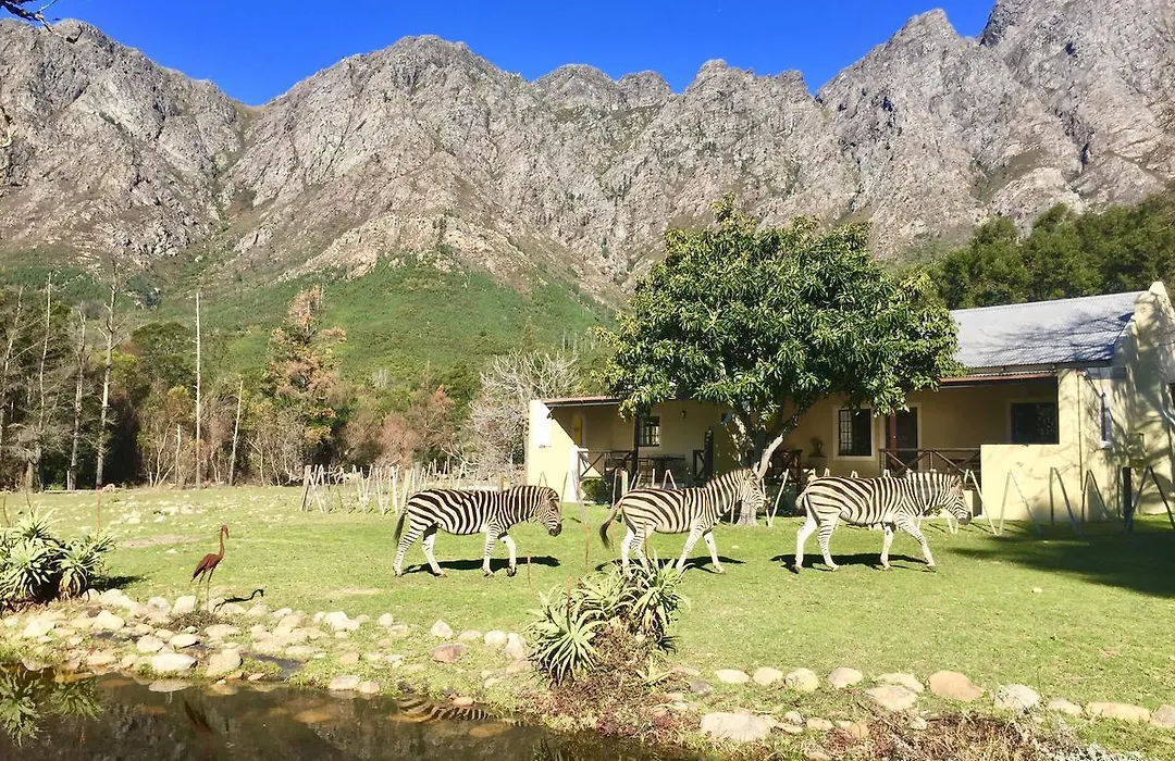 Franschhoek Country Cottages-1