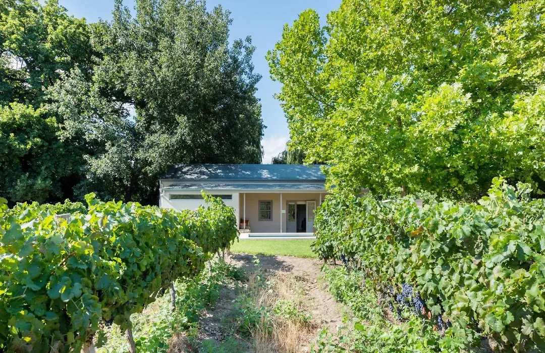 La Chataigne Wines & Guest Cottages-1