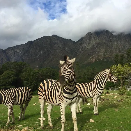 Franschhoek Country Cottages-2